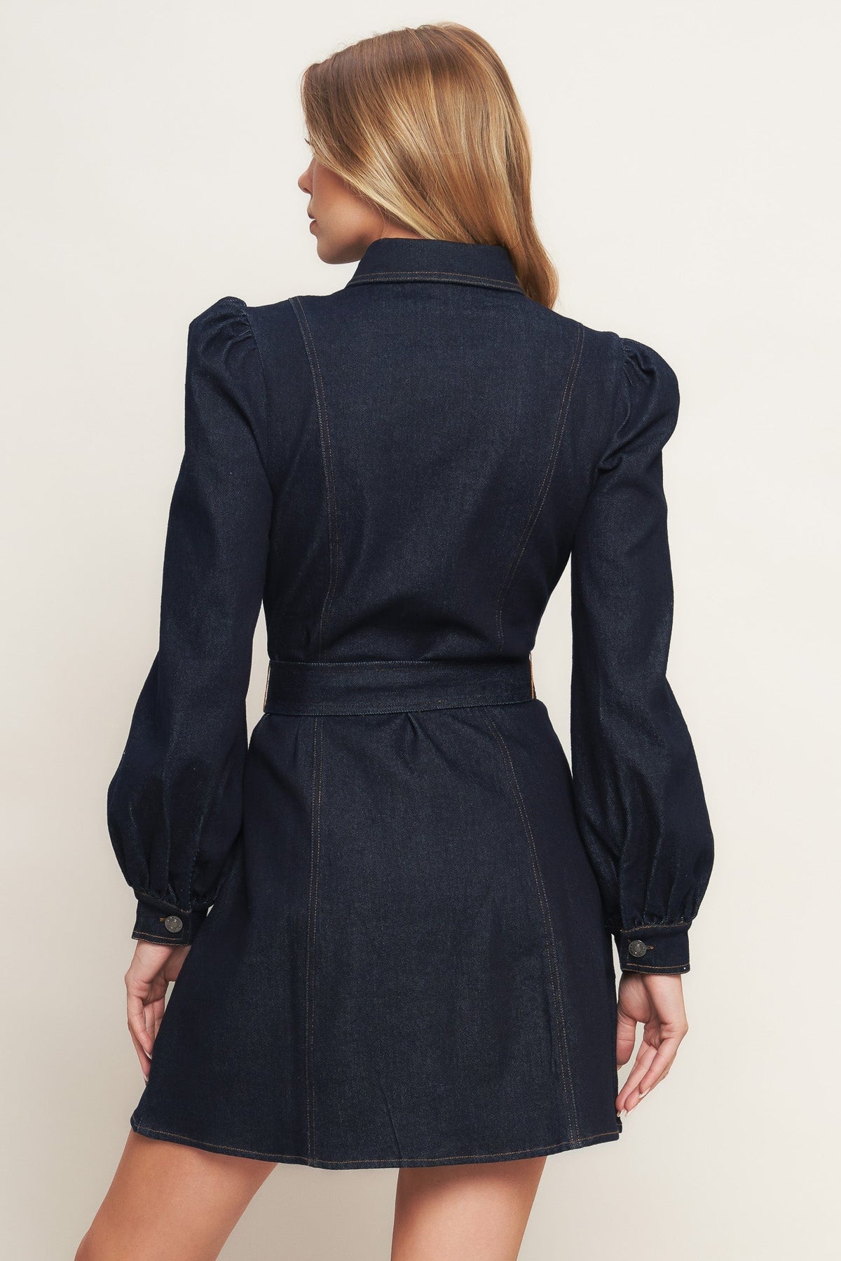 Dress 2739